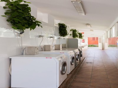 caravan Home Stay Schritte vom Sand - Outdoor photo 15