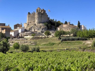 Holiday house Bungalow in Sant Salvador nahe Strände - Environment photo 30