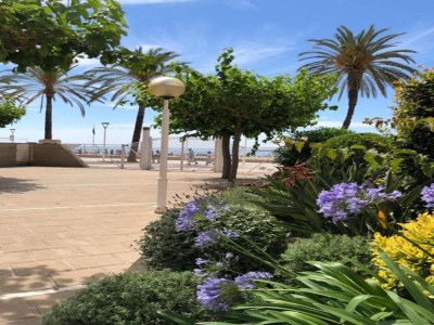 Holiday house Bungalow in Sant Salvador nahe Strände - Environment photo 33