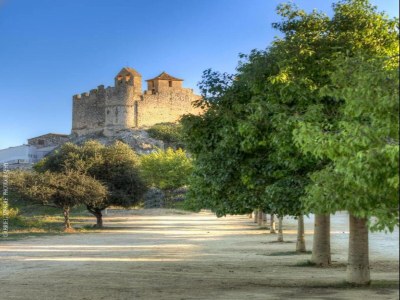 Holiday house Charming Getaway with Garden - Environment photo 26