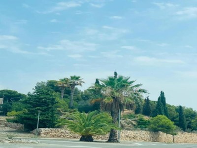 Holiday house Charming Getaway with Garden - Environment photo 28