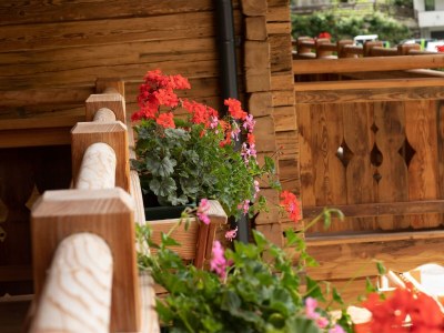 Apartment Berg-Lodge Peziner-Blick - Outdoor photo 19