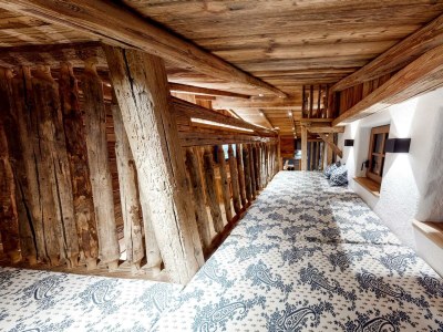 Apartment Berg-Lodge Peziner-Blick - Features photo 90