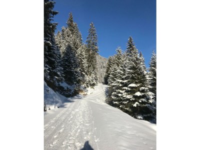 Apartment "TOP 1"/2 Schlafräume/DU/WC - Outdoor photo 9