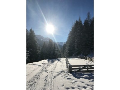 Apartment "TOP 1"/2 Schlafräume/DU/WC - Outdoor photo 11