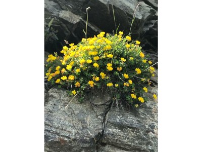 Apartment "TOP 1"/2 Schlafräume/DU/WC - Outdoor photo 13