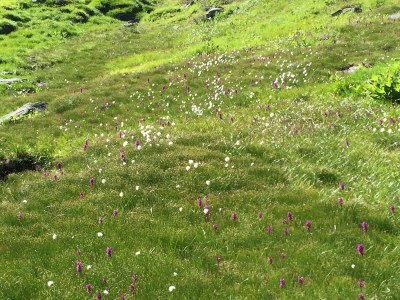 Apartment Appartement TOP3 - Outdoor photo 6