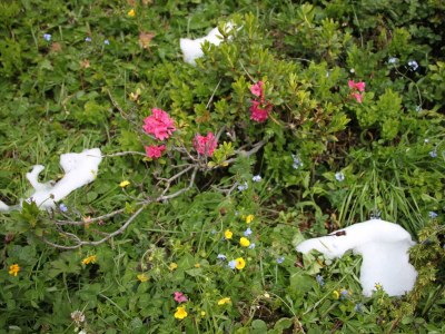 Apartment Wohnung 3-6 Pers./2 Schlafräume/DU/WC - Outdoor photo 5