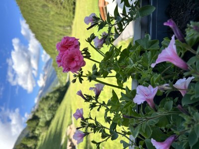 Apartment TOP 2 für 2-4  Personen - Outdoor photo 8