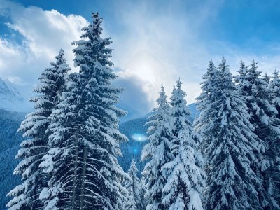 Apartment TOP 2 für 2-4  Personen - Outdoor photo 13