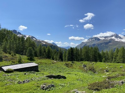 Apartment TOP 2 für 2-4  Personen - Outdoor photo 15