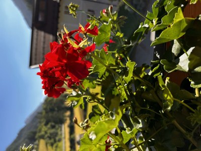 Apartment TOP 2 für 2-4  Personen - Outdoor photo 26