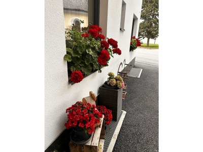 Apartment TOP 2 für 2-4  Personen - Outdoor photo 29