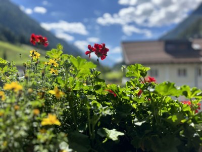 Apartment TOP 2 für 2-4  Personen - Outdoor photo 31