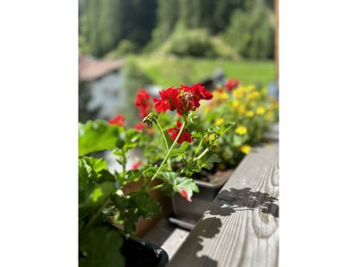 Apartment TOP 2 für 2-4  Personen - Outdoor photo 36