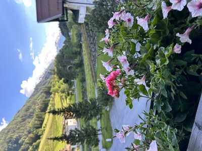 Apartment TOP 2 für 2-4  Personen - Outdoor photo 38