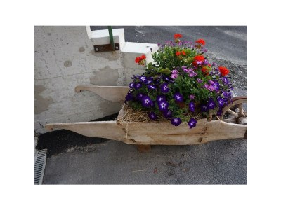 Apartment AP. 3 PERS./1 Schlafraum/Dusche, WC - Outdoor photo 4