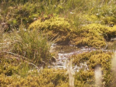 Apartment App. 150/1 Schlafz. + 1 Wohnschlafraum - Outdoor photo 29