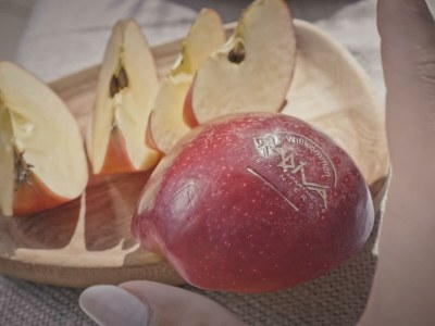 Apartment App. 150/1 Schlafz. + 1 Wohnschlafraum - Outdoor photo 39