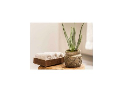 Apartment App. 150/1 Schlafz. + 1 Wohnschlafraum - Features photo 49