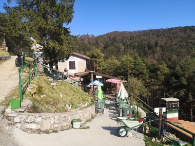 Holiday apartment Apartment Lago Gardasee - Pool, Natur, Seeblick - Environment photo 34