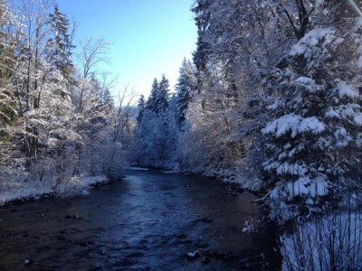 Apartment Tranquil Escape at Königssee - Environment photo 48