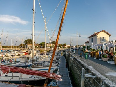 Holiday house Wohnung in Ars-en-Ré nahe Vogelschutzgebiet - Environment photo 12
