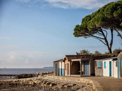 Holiday house Wohnung in Ars-en-Ré nahe Vogelschutzgebiet - Environment photo 13
