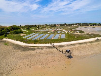 Holiday house Wohnung in Ars-en-Ré nahe Vogelschutzgebiet - Environment photo 14