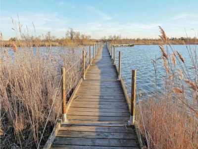 Holiday park Maisonette in Aigues-Mortes bei Flamingos - Environment photo 17