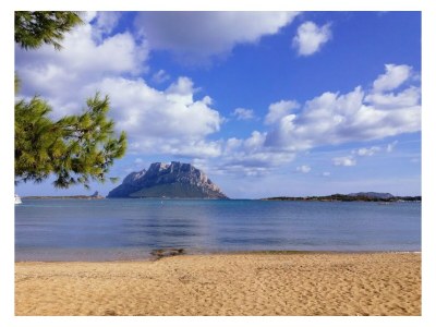 Holiday house Haus Alessandro - Environment photo 28