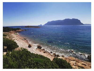 Holiday house Haus Alessandro - Environment photo 32