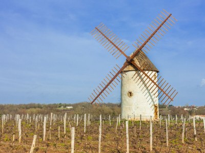 Villa DUXCAAR Mervent - Environment photo 34