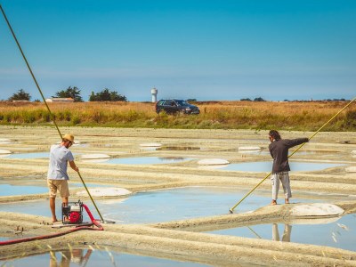 Villa DUXCAAR Mervent - Environment photo 35