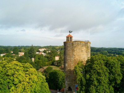 Villa DUXCAAR Mervent - Environment photo 37