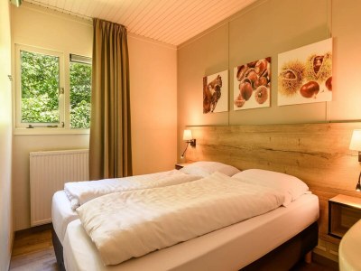 Holiday park Bungalow in Netherlands with COPD-Friendly Design - Features photo 6