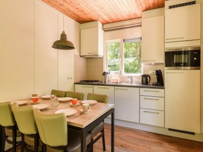 Holiday park Bungalow in Netherlands with COPD-Friendly Design - Features photo 8