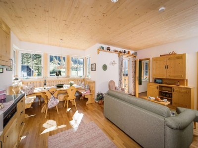 Apartment Apartment Ausseerland near Ski Slopes - Features photo 13