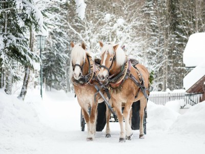 Holiday house Chalet in Grundlsee in der Nähe von Skipisten - Outdoor photo 35
