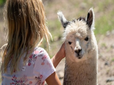 Holiday house Luxuszelt im Serengeti Park - Outdoor photo 32