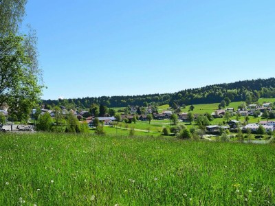 Apartment Ferienanlage Bäckerwiese in Neuschönau - Outdoor photo 6