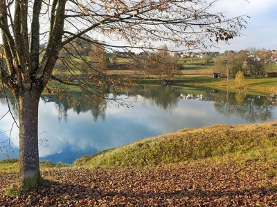 Apartment Ferienanlage Bäckerwiese in Neuschönau - Outdoor photo 24