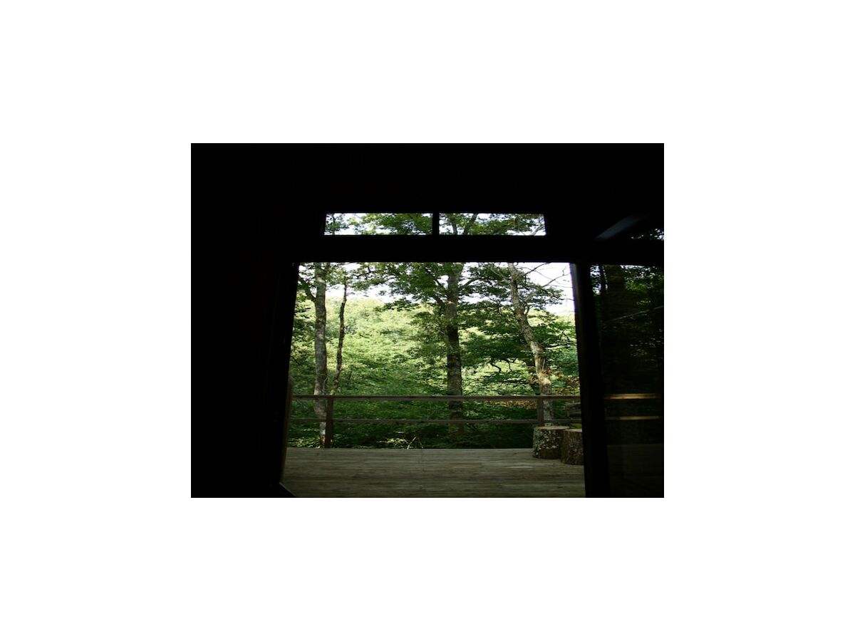 Holiday house Oakwood Hideaway Aufenthalt - Outdoor photo 3