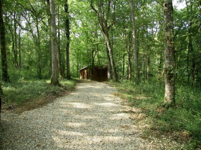 Holiday house Oakwood Hideaway Aufenthalt - Outdoor photo 2