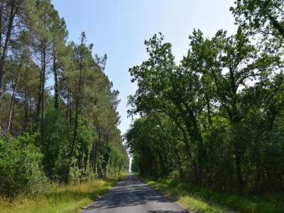 Holiday house Oakwood Hideaway Aufenthalt - Environment photo 14