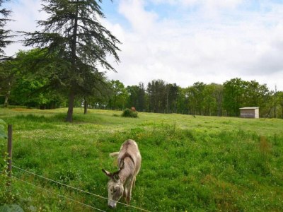 Holiday house Oakwood Hideaway Aufenthalt - Environment photo 15