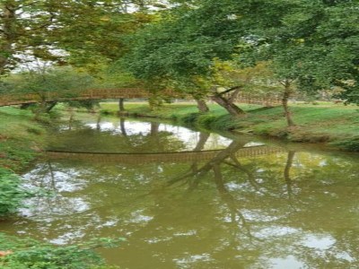 Holiday house Oakwood Hideaway Aufenthalt - Environment photo 17