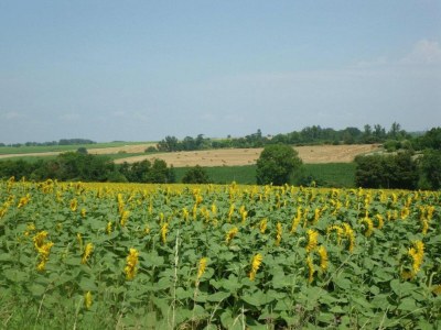 Holiday house Oakwood Hideaway Aufenthalt - Environment photo 18