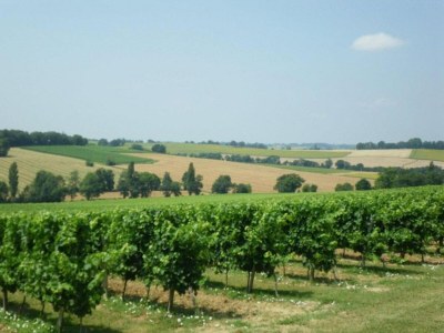 Holiday house Oakwood Hideaway Aufenthalt - Environment photo 20