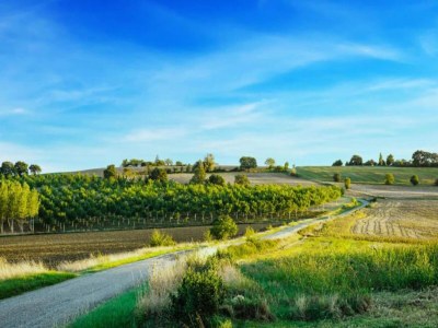 Holiday house Oakwood Hideaway Aufenthalt - Environment photo 21